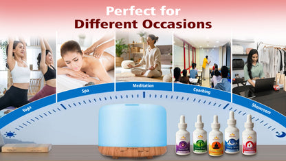 500ml Portable USB Humidifier