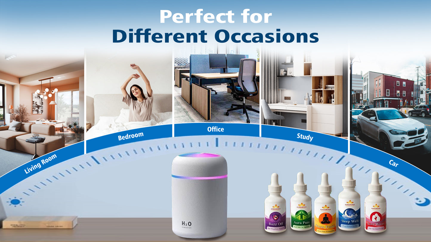 H2O Portable USB Humidifier